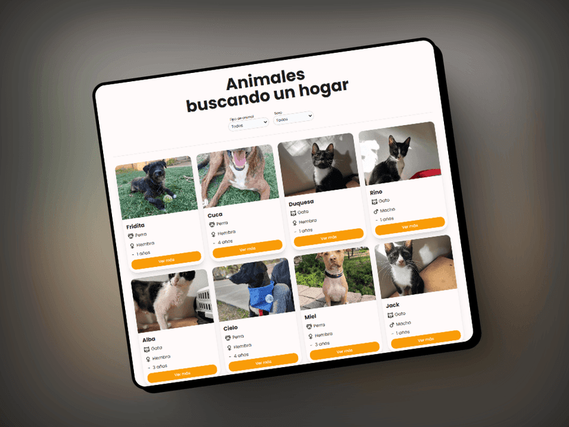 Detalle del proyecto Artemis