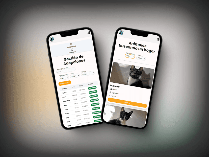 Detalle del proyecto Artemis