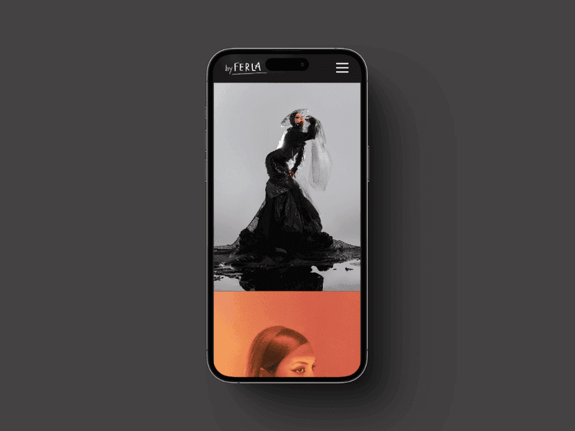 Detalle del proyecto Ferla