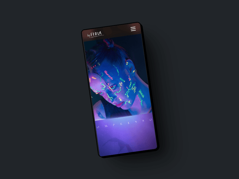 Detalle del proyecto Ferla