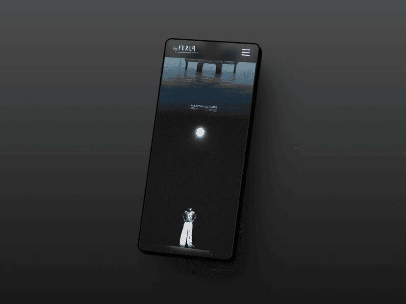 Detalle del proyecto Ferla