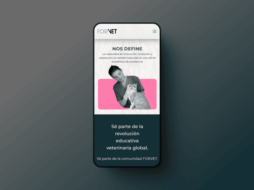 Detalle del proyecto Forvet Web