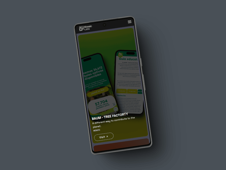 Detalle del proyecto Mosaic Labs
